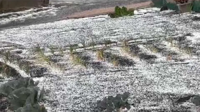 Granizo en Los Valles.
