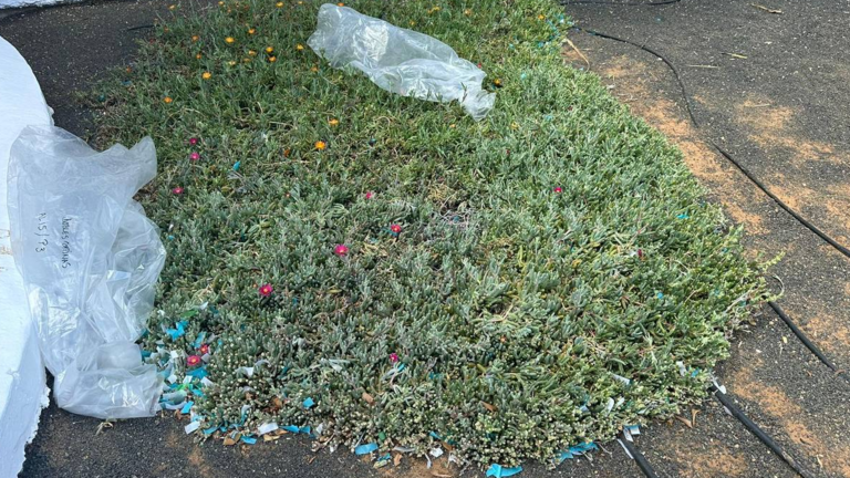 Basura tras la Feria de Abril.