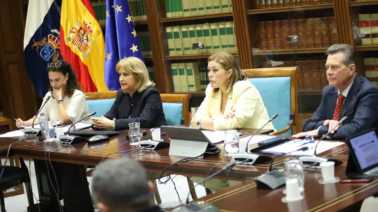 Parlamento de Canarias.