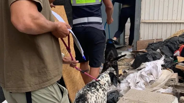 Intervención de la Policía Local de Arrecife para liberar maltrato a los perros.