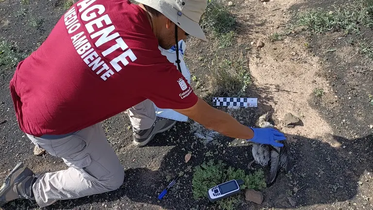 Agentes de Medio Ambiente.