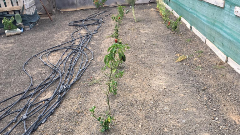 Finca de Antonio García, en La Graciosa.