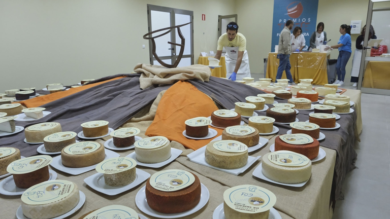 Mejor queso de cabra