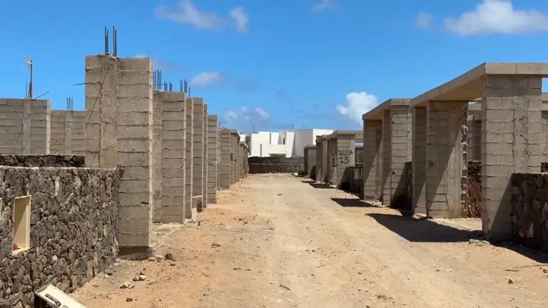 Okupas en la zona del Faro de Pechiguera.