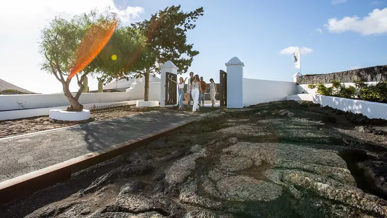 Entrada Bodegas El Grifo.
