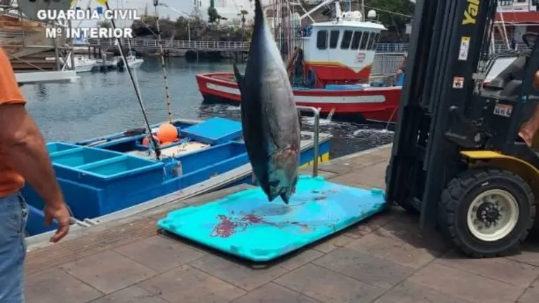 1C9AAA83-1407-4255-BF1C-89A5CF66458B