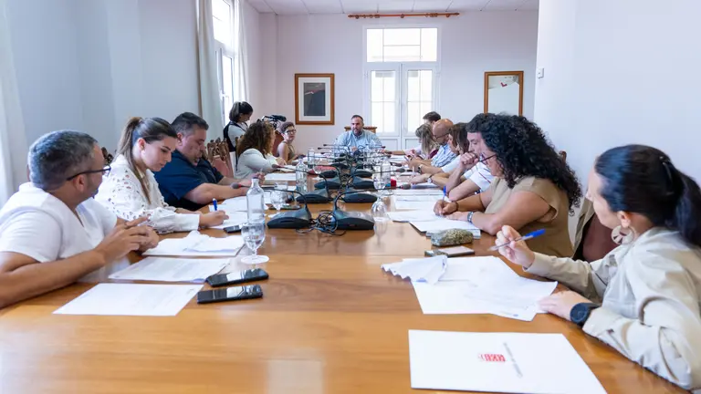 Mesa Insular de Medio Ambiente.