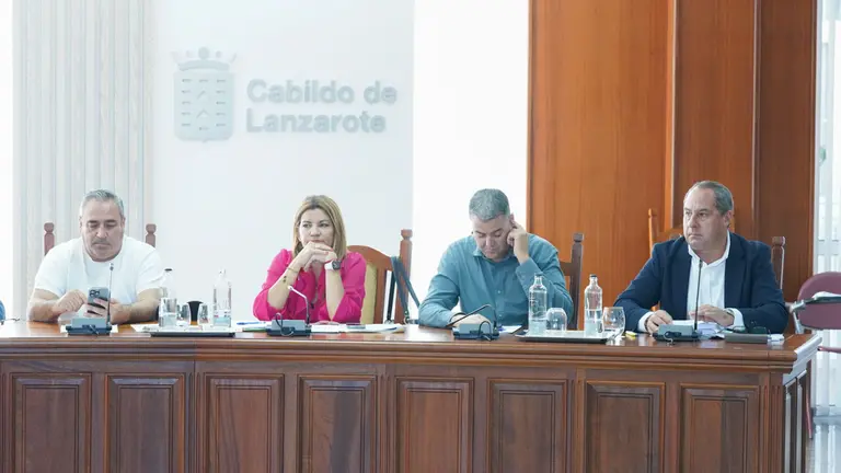 Pleno del 31 de julio.