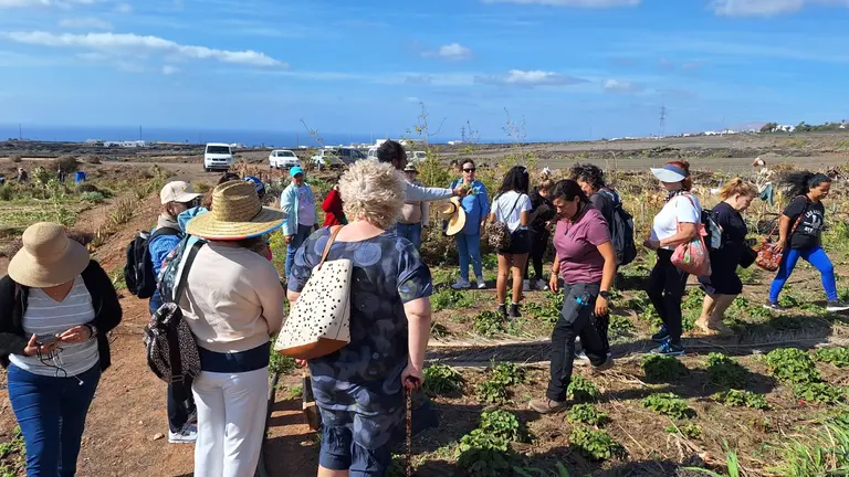 Fundación Líneas Romero y el proyecto Avante, acción Merendero de Tegoyo.