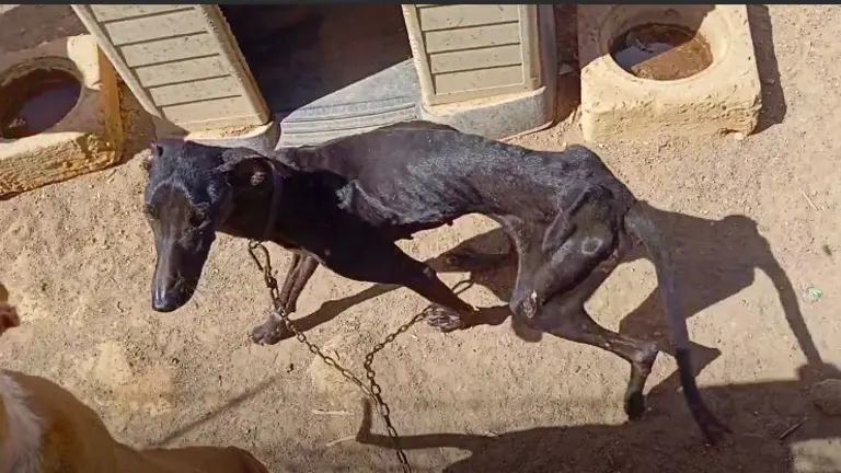 WhatsApp Image 2024-08-12 at 10.19.54 (1)