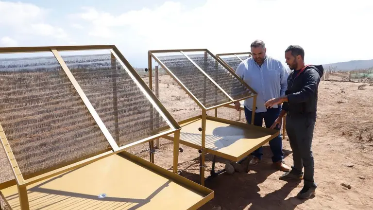 Captadores de niebla