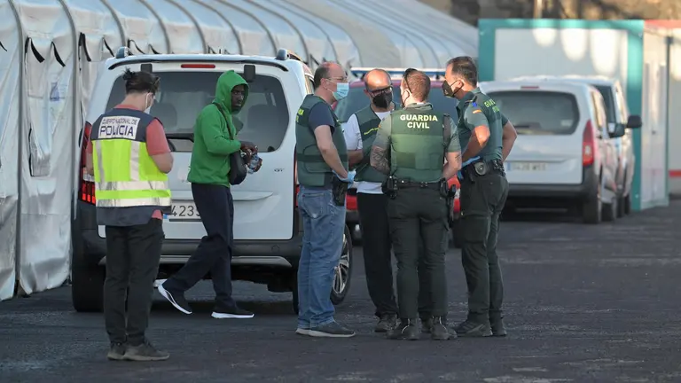 89bec632e41155364afa9c0cd6bdc72518be4e64w