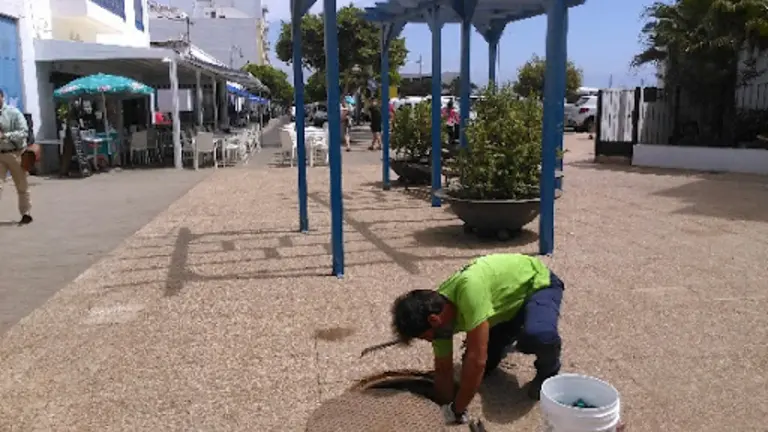 Control de plagas en Arrecife. Imagen de archivo.