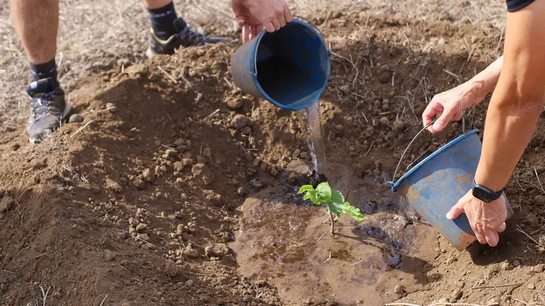 HiperDino continúa sus esfuerzos por promover prácticas sostenibles.