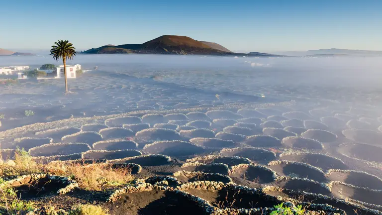 La Geria Foto ©-Turismo Lanzarote
