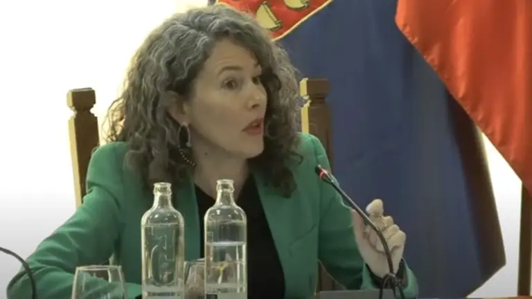 Ariagona González - Pleno del Cabildo 2024-02-09