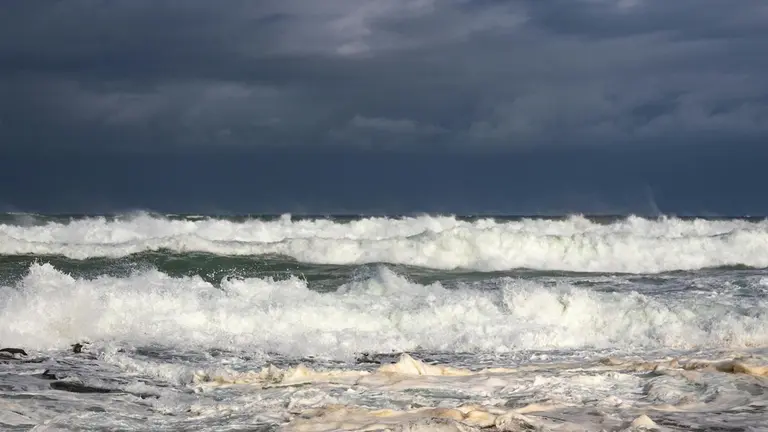 pexels-magda-ehlers-pexels-7762113