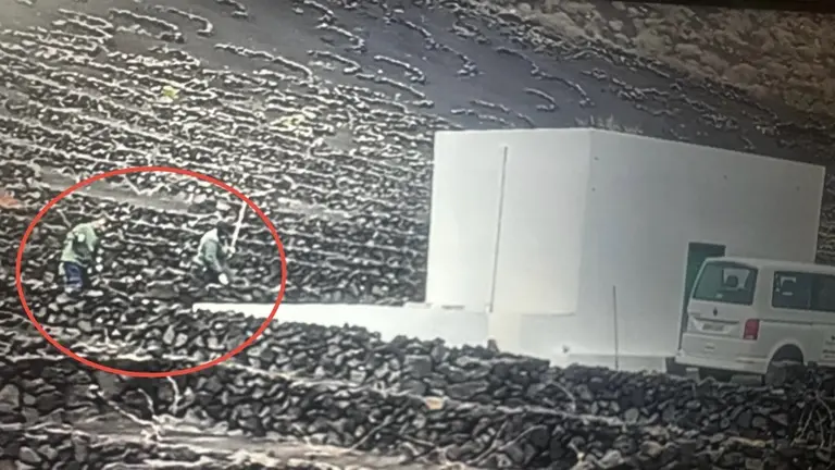 4feda23a-321a-4483-b73d-c739117dc4fe