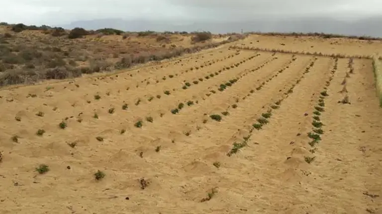 El Jable (Imagen: Archivo)