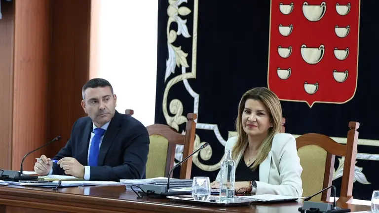 Sesion plenaria Cabildo