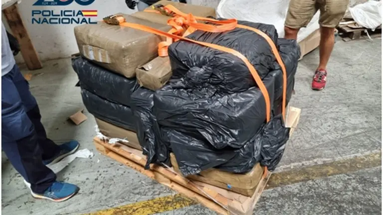 La mercancía incautada por la Policía Nacional en Las Palmas