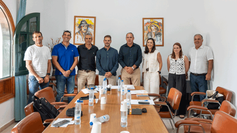 Mesa Insular de Deportes