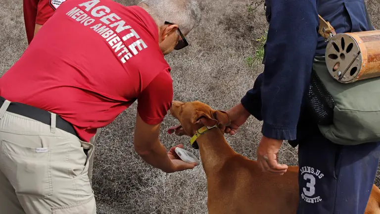 Agentes Medioambiente Cabildo