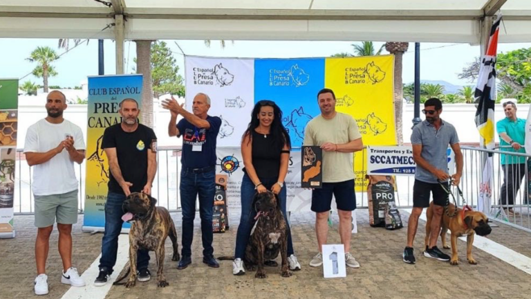 encuentro didáctico