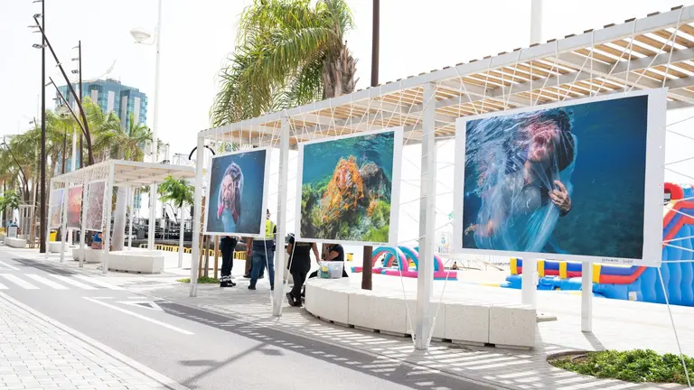 Exposición Gritos del Azul