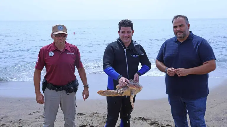 Devuelta al mar la tortuga boba rescatada