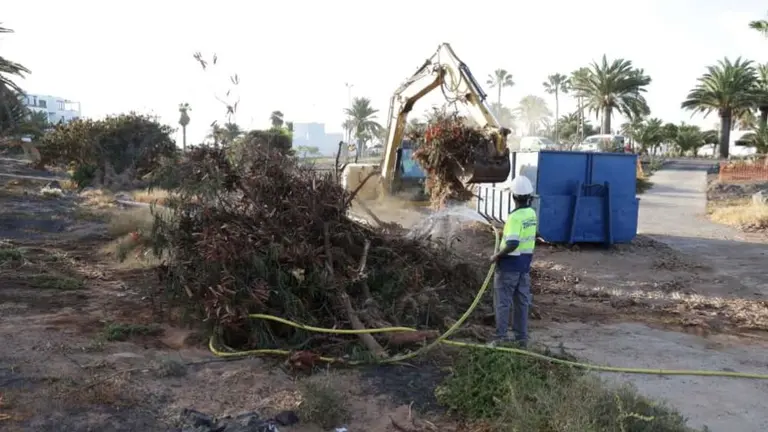 Limpieza del barranco del Hurón