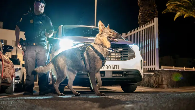 La Unidad Canina de la Policía Local de Arrecife apoya estos despliegues anti drogas en los espacios públicos de Arrecife