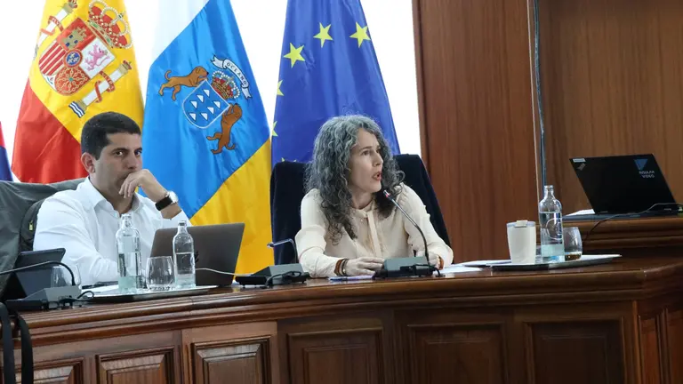 Benjam&iacute;n Perdomo y Ariagona Gonz&aacute;lez (PSOE)