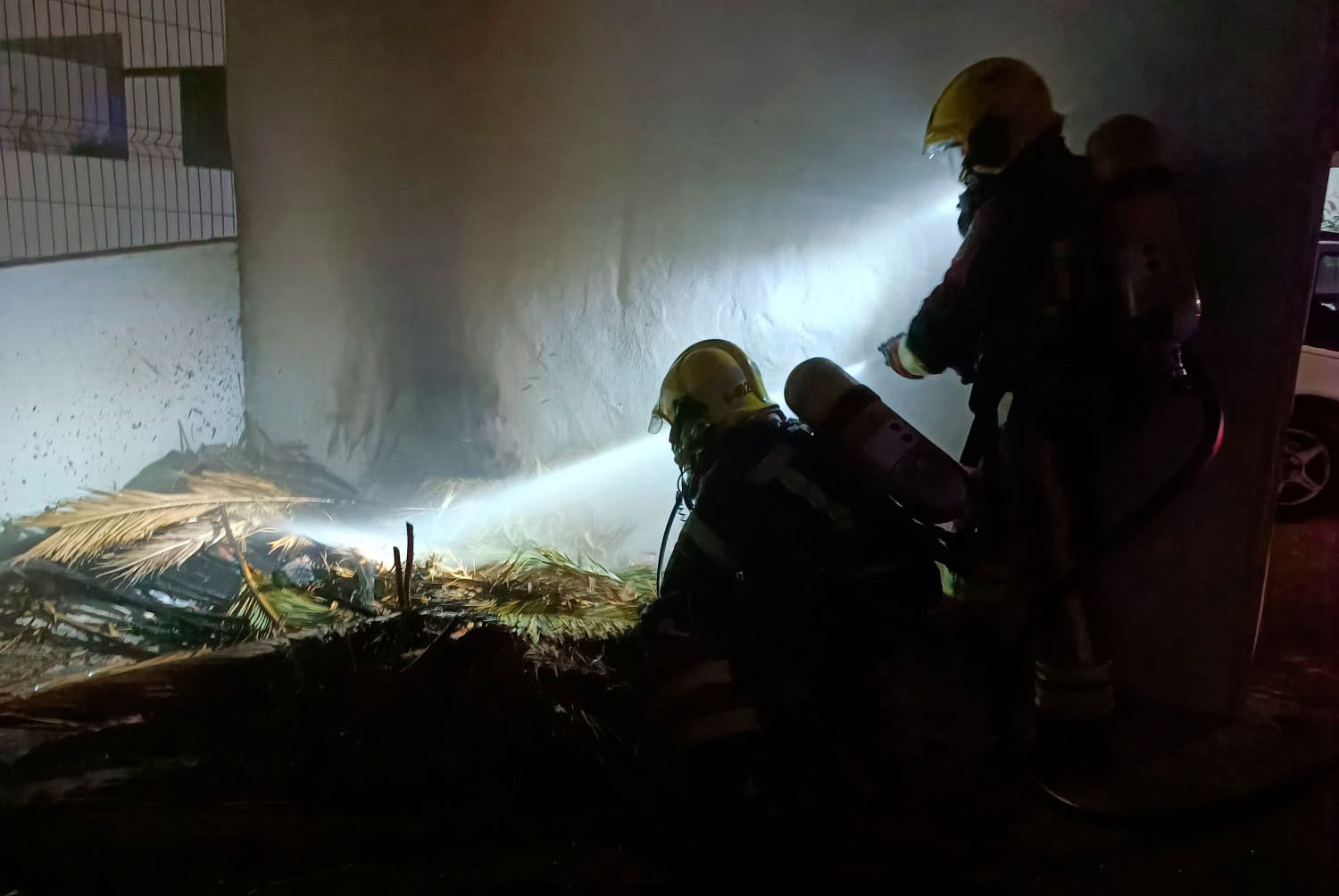 Incendio palmera en Costa Teguise