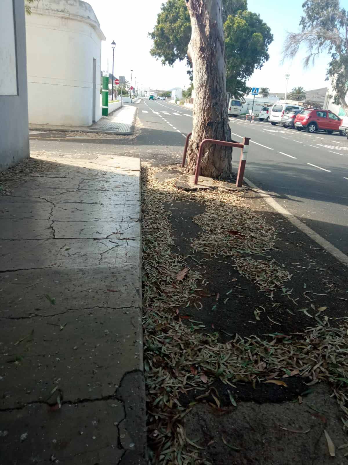 Zona descuidada de Guatiza