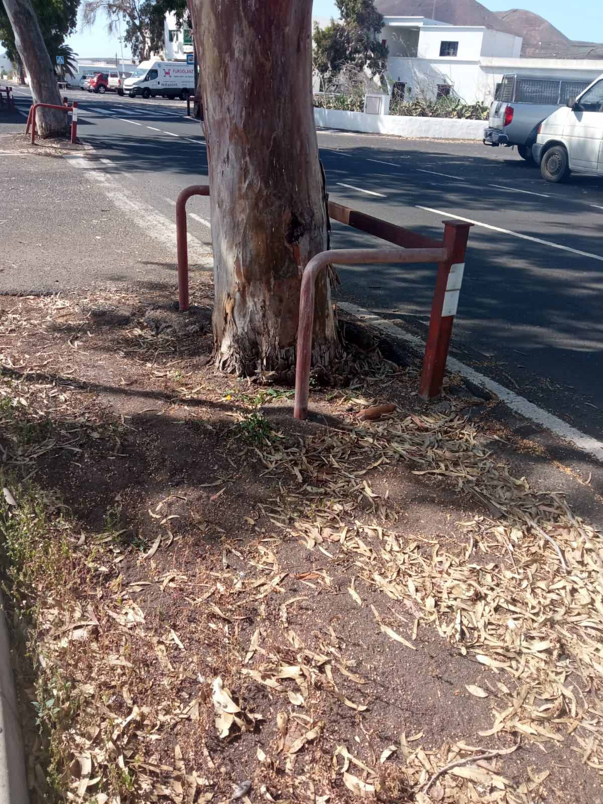 Zona descuidada de Guatiza