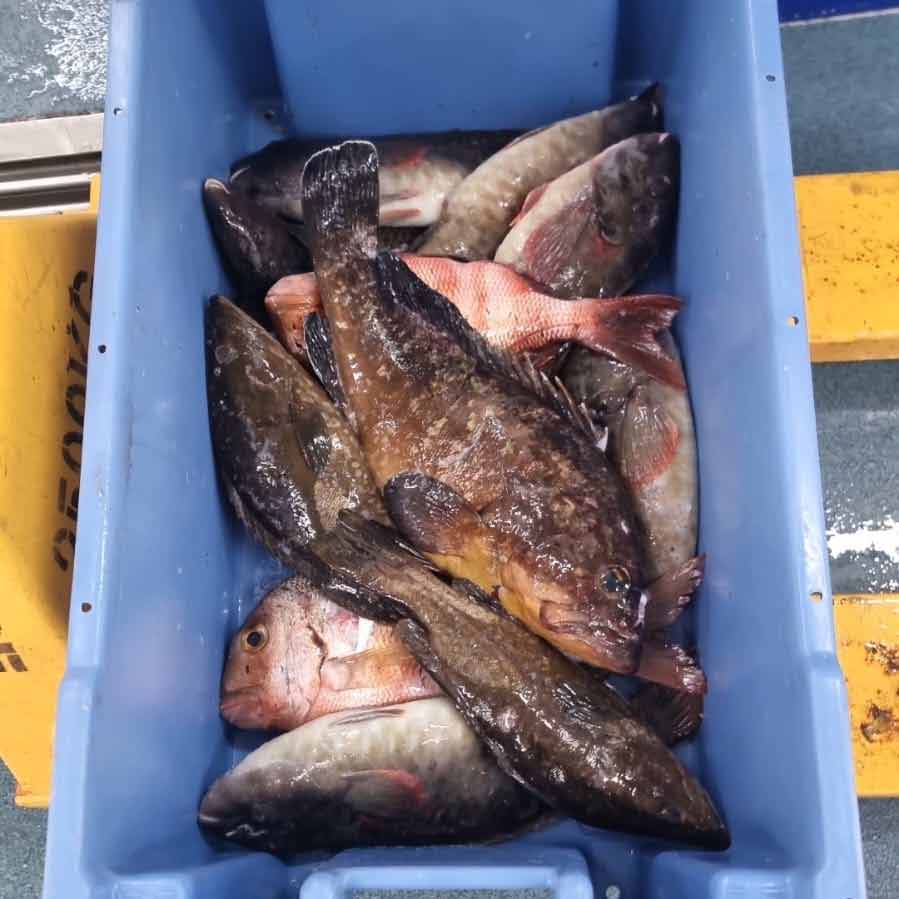 Pescado incautado