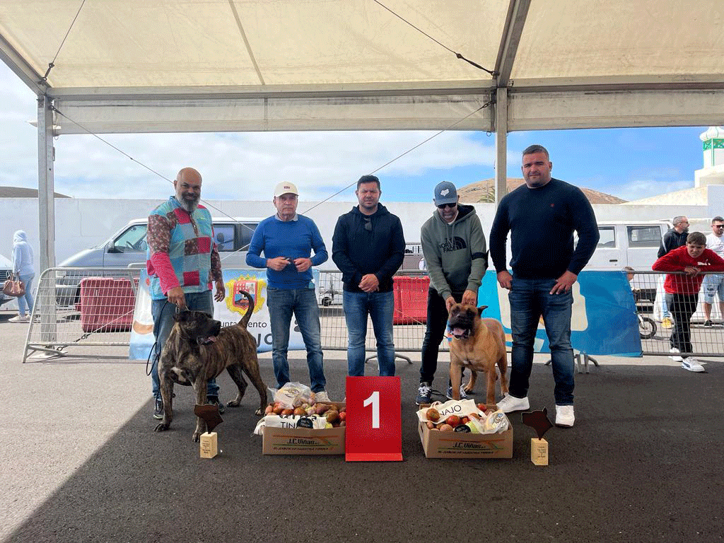 Concurso de presa canario