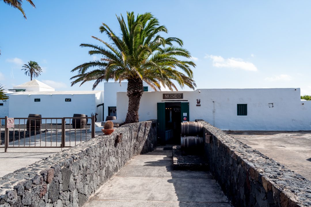 Museo del Vino de Bodegas El Grifo. I