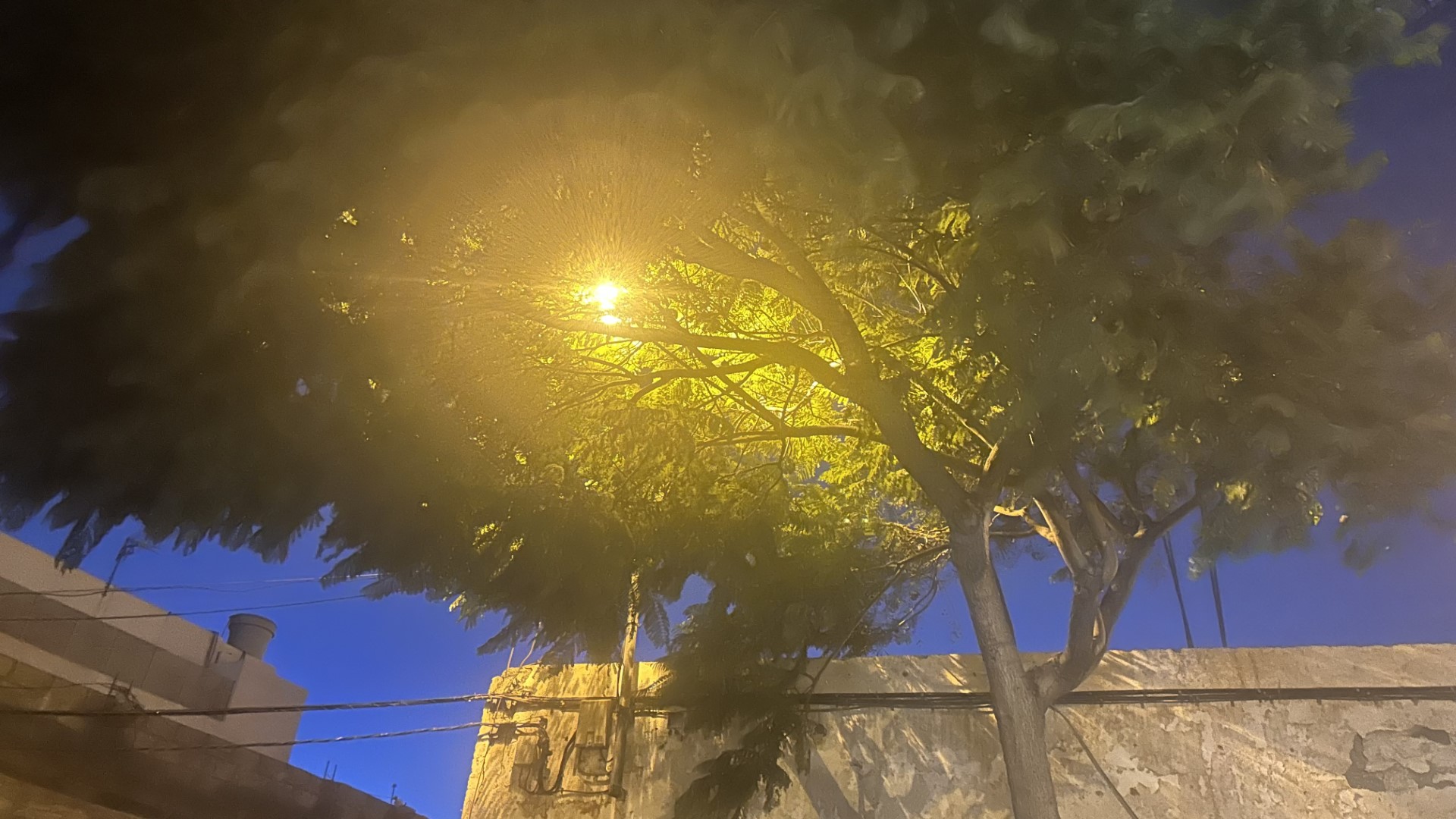 Ramas tapan las farolas en Titerroy.