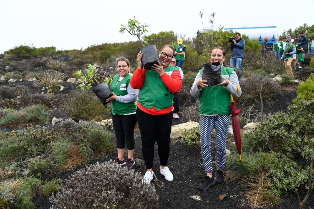 Trabajadores den Hiperdino plantando árboles