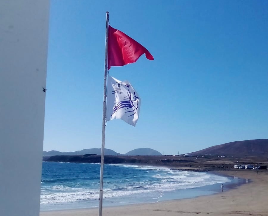 Medusas en la playa de La Garita.