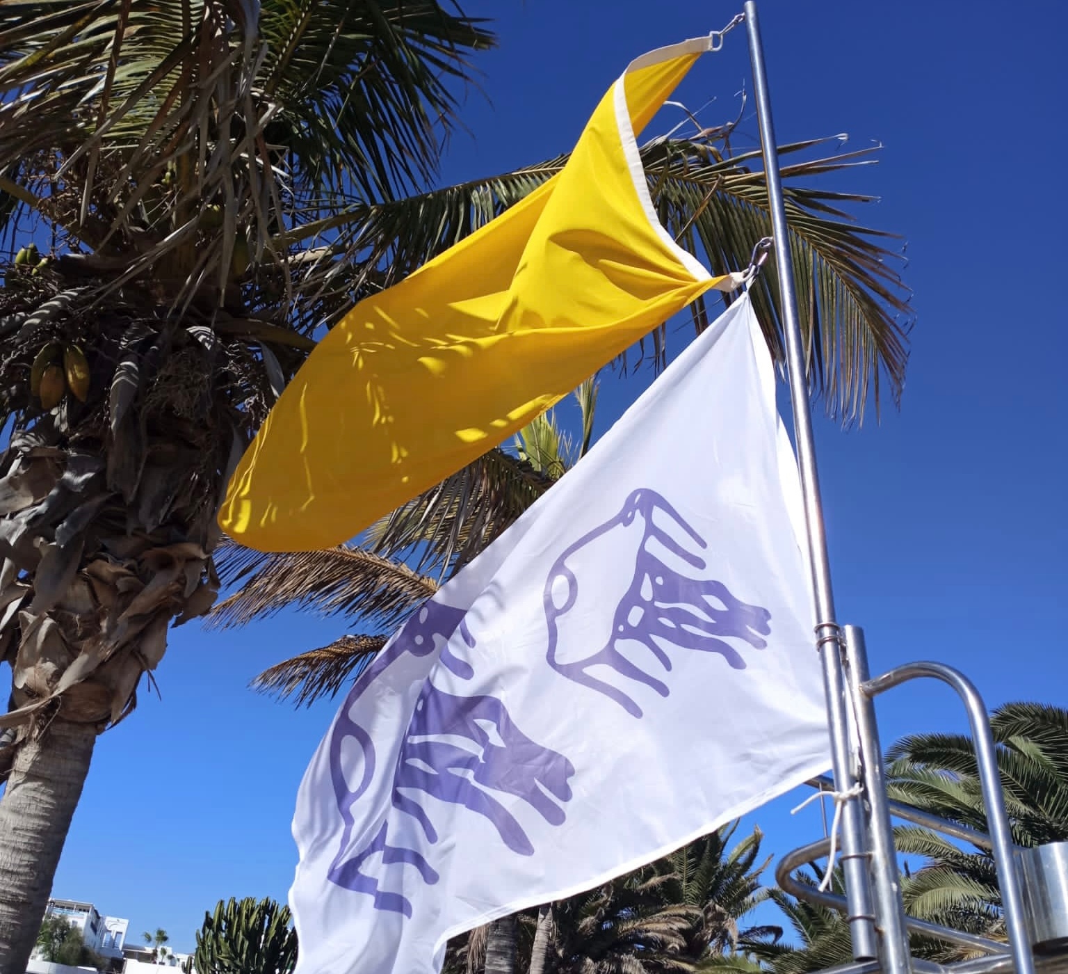 Bandera amarilla en Costa Teguise.