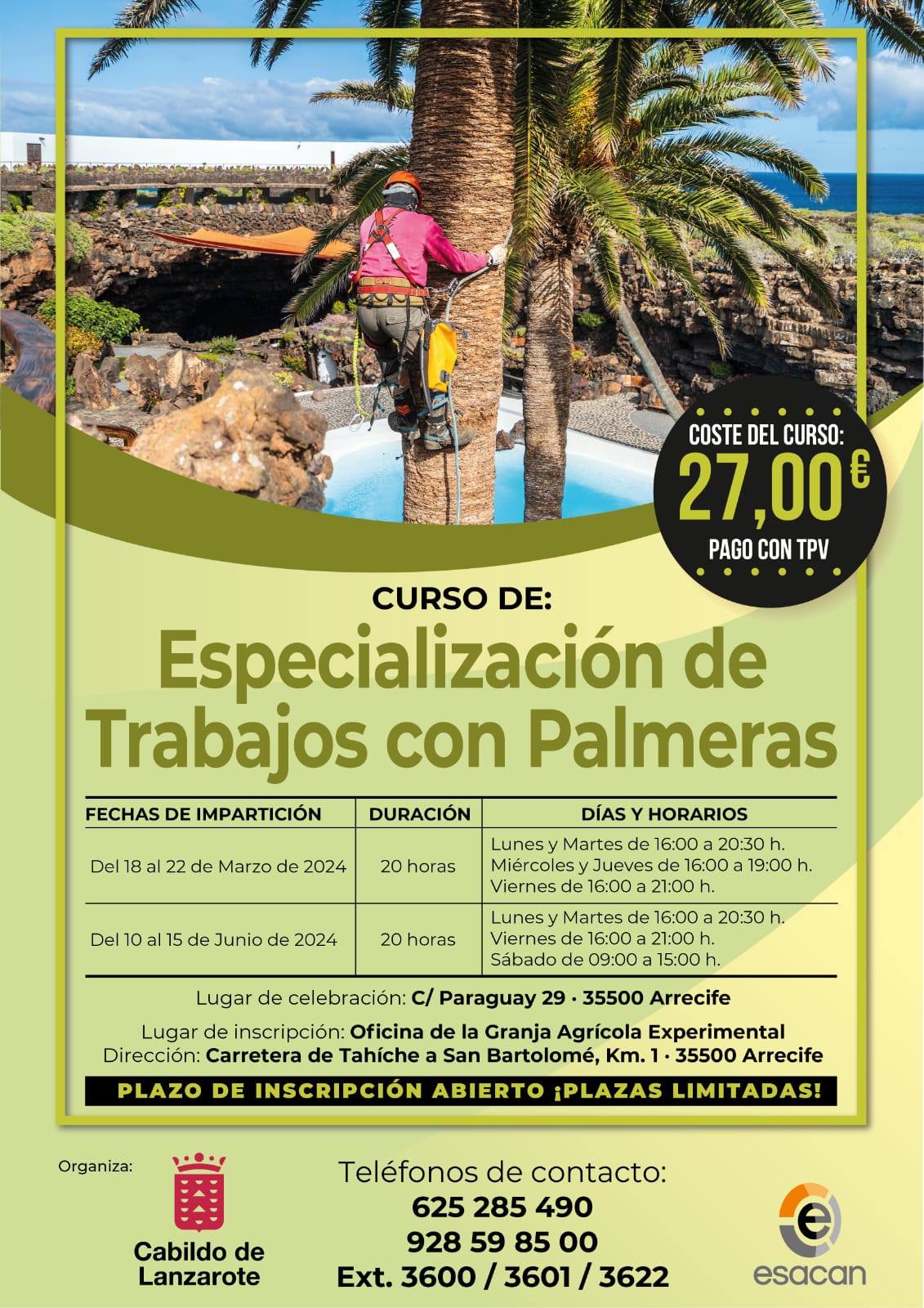 Curso Palmeras Lanzarote.
