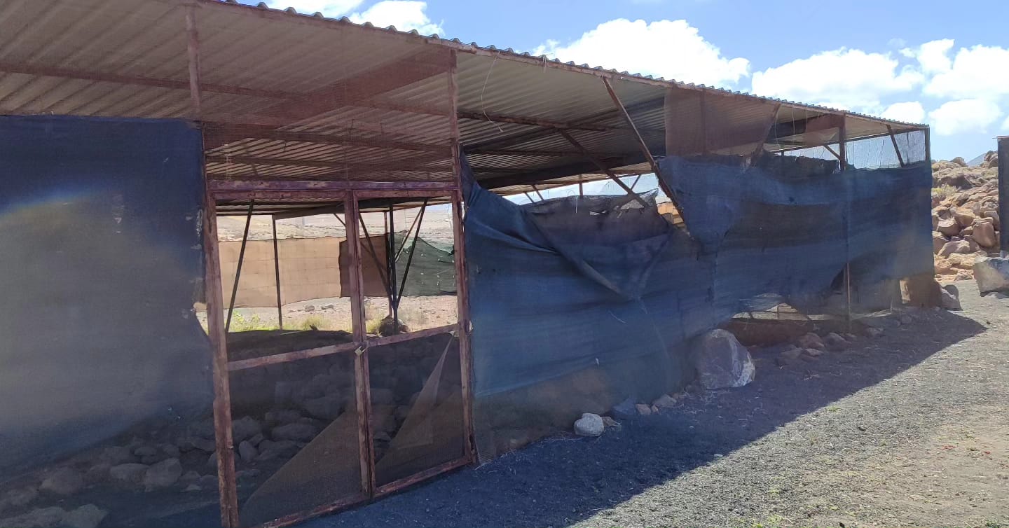 Yacimiento arqueológico de Zonzamas.