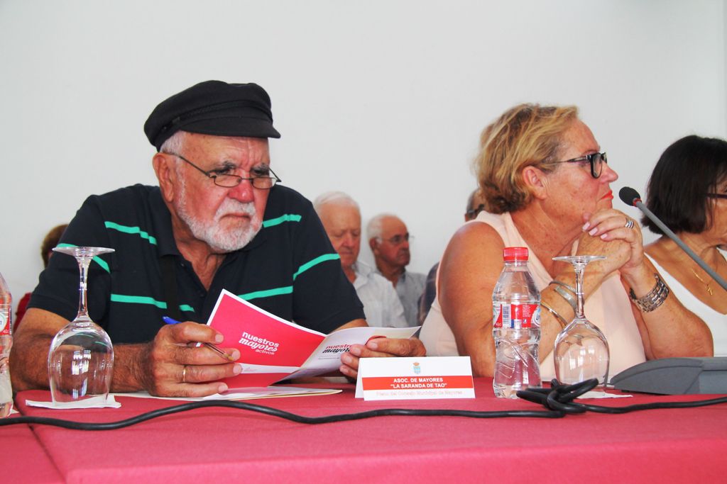 Consejo Insular de Mayores.