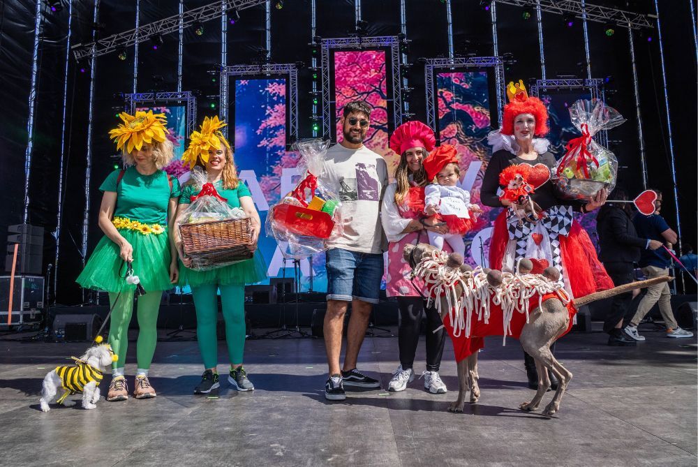 Ganadores del concurso