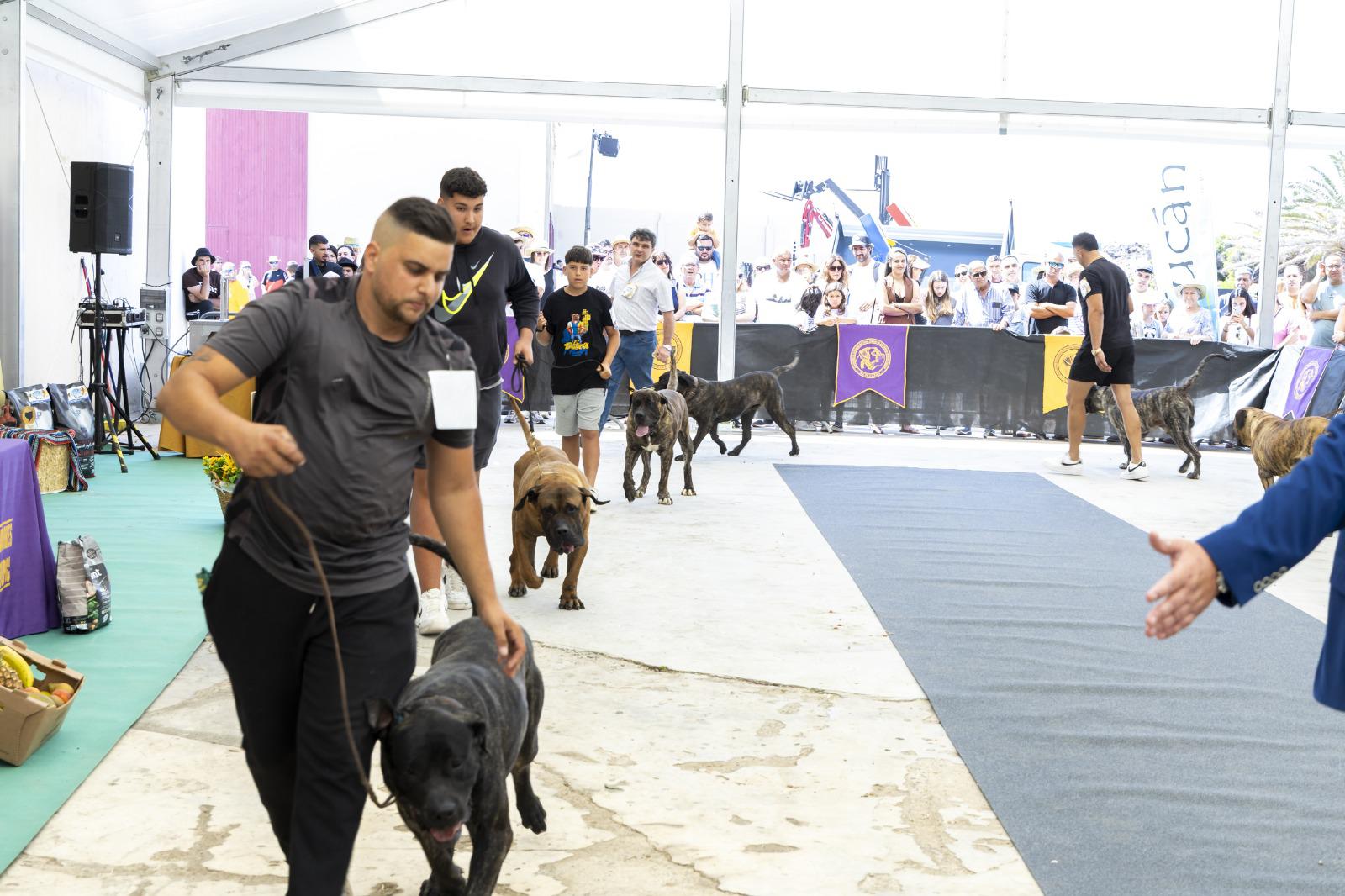 IV Feria de Agricultura, Ganadería y Pesca de Teguise 2