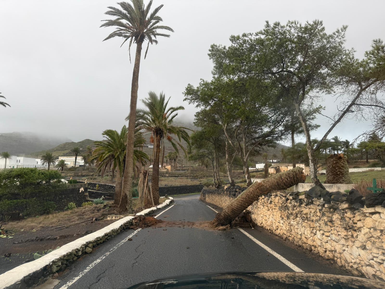 a0c20931-b529-48da-851c-d361beef4f24