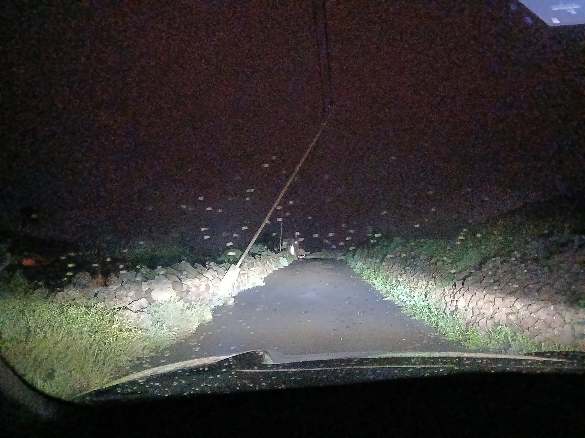 82dcf0d2-a0d9-4c37-9928-f995d81bc1d0